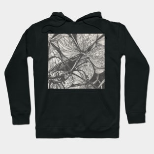 Botanical Study Hoodie